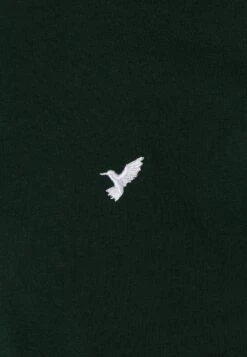 Pier One 5 Pack - T-Shirt Basic - White/Ark Green/Blue -Mode Verkoop 19822f95d4c243b5a7cfa8d503e23581