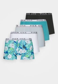 Pier One 5 Pack - Onderbroeken - Black/White/Light Blue -Mode Verkoop 5c40fd792b6b4650bbc4a1a7dd93aa99