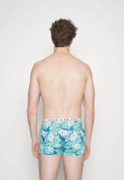 Pier One 5 Pack - Onderbroeken - Black/White/Light Blue -Mode Verkoop 6751e66d3c4a4234b0272d2168583b48