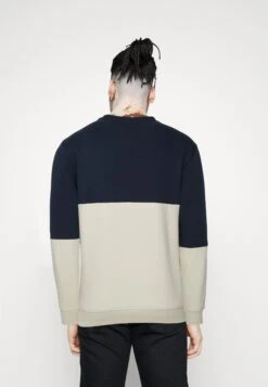 Pier One Sweater - Blue/Grey 10 Pier One Sweater - Blue/Grey -Mode Verkoop e8e4fa1aa32f4185adbdad5b08b3d97c